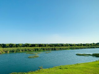 summer landscape with lake
