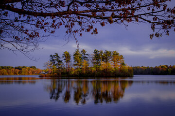 Obraz premium autumn trees reflected in water
