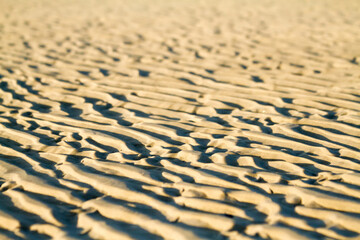 ripples in the sand