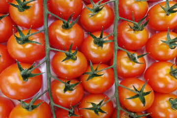 Tomatoes with green sepals. View from above. Supermarket. Box.