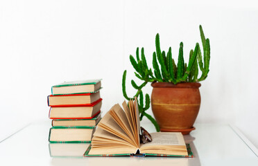 Cozy home interior decor: stack of books, plants in pots, open book on a white table. Distance home education.Quarantine concept of stay home.