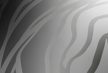 Light Gray vector blurred shine abstract template.