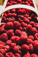 Fresh raspberries in a basket on a wooden table in the garden. Summer and healthy food concept. 