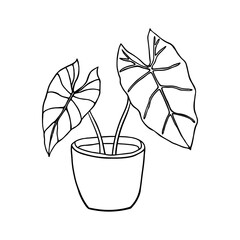 Vector linear sketch house plant illustration. houseplants, indoor and office plants in pot. Hand drawn tropical house plants. Scandinavian style illustration, modern and elegant home decor.