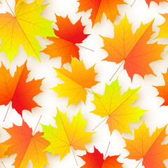 Fototapeta na wymiar Autumn maple leaves pattern
