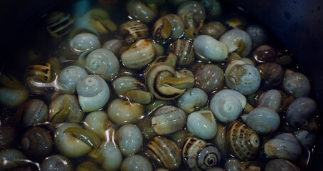 Cooking snails in a pan. Seville, Andalusia, Spain.