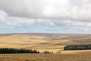 Fototapeta premium View on Dartmoor, Devon, in summer
