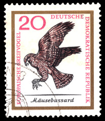 Gemany (DDR)  - CIRCA Decembere 08, 1965:  A stamp printed in Eastern Germany - DDR shows birds of prey of Europe- Birds of Prey serie,