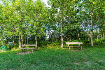 View of two benches in a viewpoint of a forest in Elorriaga, Basque Country, Spain, horizontal