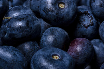 Vaccinium (blueberry) is a common and widespread genus of shrubs or dwarf shrubs in the heath family (Ericaceae). 