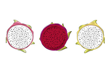 Dragon fruit vector graphics set. Hand drawn tropical food illustration. Pink, red and yellow summer dragonfruit. Round sliced pitahaya. Botanical vintage sketch for label, juice packaging design.