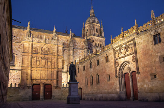 Foto nocturna de la ciudad espa&ntilde;ola Patrimonio de la Humanidad de Salamanca.Universidad co nestatua y catedral.