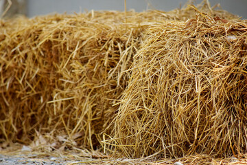 Fototapeta na wymiar Haystack, Bale of hay group. Agriculture farm symbol of harvest time with dried grass, hay straw.