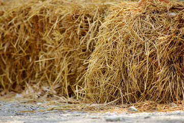 Haystack, hay straw, Bale of hay group, dry grass (hay), dry straw on the road.