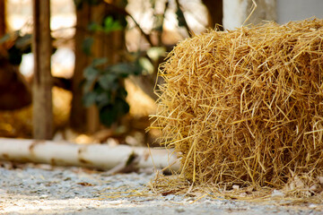 Haystack, hay straw, Bale of hay group, dry grass (hay), dry straw on the road vintage style for design.
