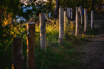 Naklejka premium wooden fence along road in forest at sunny day 