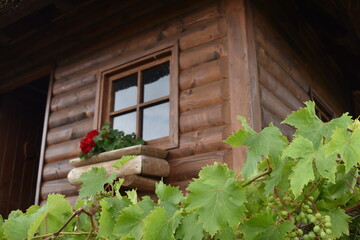 window in the garden