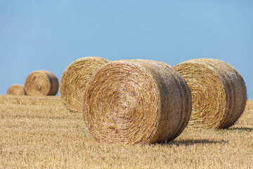 Bales on the field, big yellow round.
