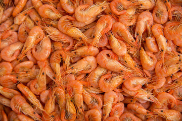 Many small shrimps as a texture, background