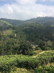 Naklejka premium view from the hill