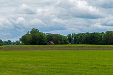 Rural landscape with young corn field and heavy clouds near Almelo, Netherlands
