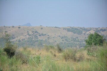 Fototapeta premium Village Life and Nature