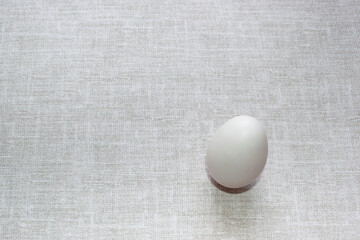 white chicken egg on textile rustic gray background. Design for poultry industry, production of eco bio natural food. Free space for text. minimalistic top view. design for banners, cards.