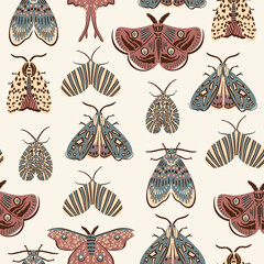 Moth butterfly collection seamless pattern. Texture for fabric, wrapping, textile, wallpaper, apparel. 