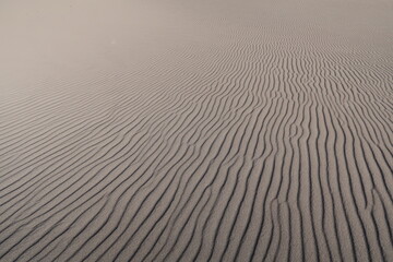 Obraz premium ripples in the sand