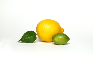 lemons studio shot
