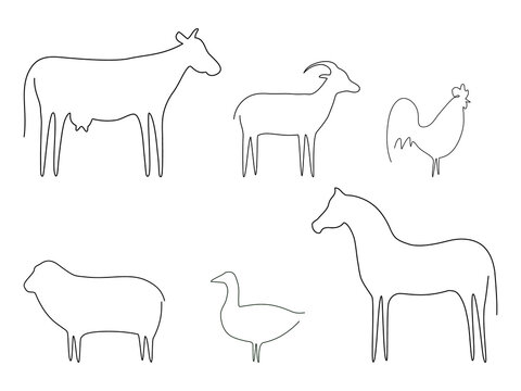 Farm animals line set vector illustration. Cow, cock, goat, horse, sheep and goose isolated on white. Domestic animals collection. Continuous line drawn animal group.