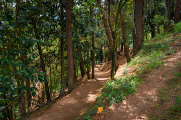 Dirt roads in the middle of the mountain