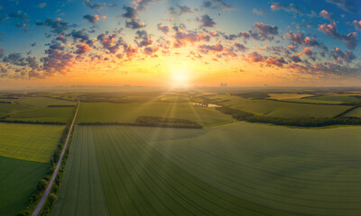 Aerial view of the sunset over the green fields.