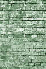 The background of the old green brick wall for design interior and  various scenes or as a background for video interviews.