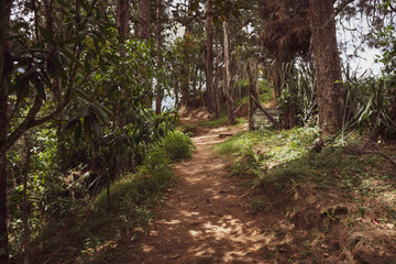 Dirt roads in the middle of the mountain