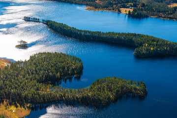 Aerial view of forest and lake, Norway