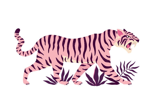 Tiger And Tropical Leaves. Trendy Vector Illustration.