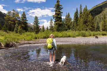 rear view of teenage girl hiker with her puppy wading into mountain river, Crested Butte, CO.