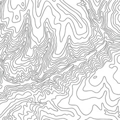 Topographic map, vector