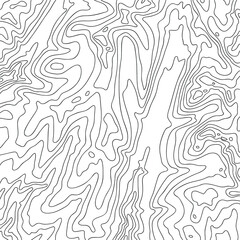 Topographic map, vector