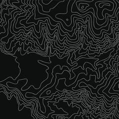 Topographic map, vector