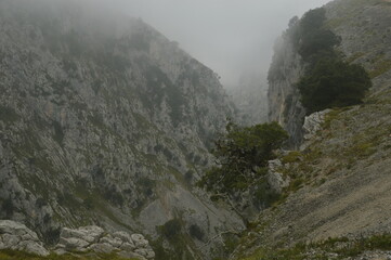 The dramatic landscape in the Picos de Europa mountains in Cantabria and Castile and Leon in Spain