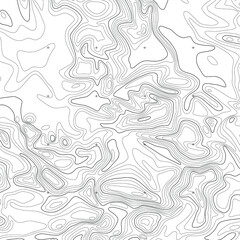 Topographic map, vector