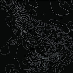 Topographic map, vector
