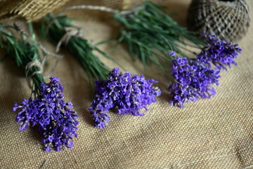 bunch of lavender flowers