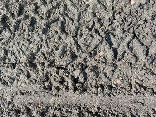 Textured Background Tire Tracks in Sand