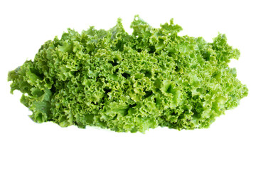Obraz premium Fresh green Lettuce leaves, Salad leaf isolated on white background. Copy space.