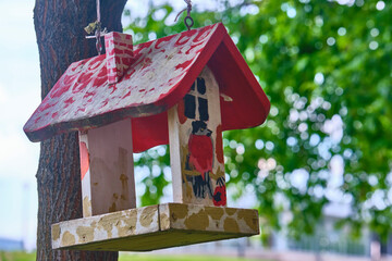 Bird feeder hangs on tree branch. general plan. color