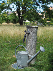 un arrosoir ancien en métal dans un jardin © DOMINIQUE MARIOTTI