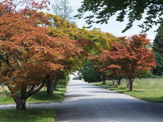 Naklejka premium dans un parc - Zurich